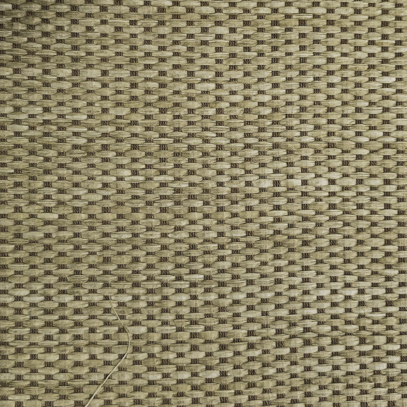 Bamboo thread wallpaper DS-AQ9040