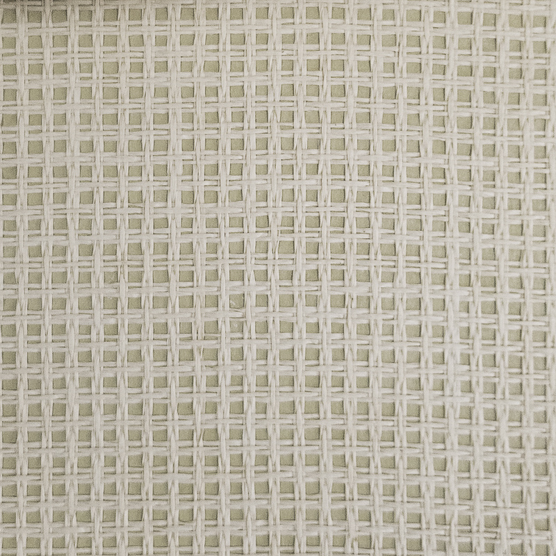 Bamboo thread wallpaper DS-AQ9045