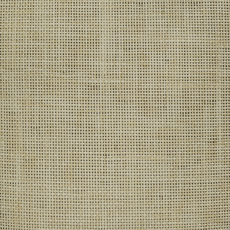 Bamboo thread wallpaper DS-AQ9068