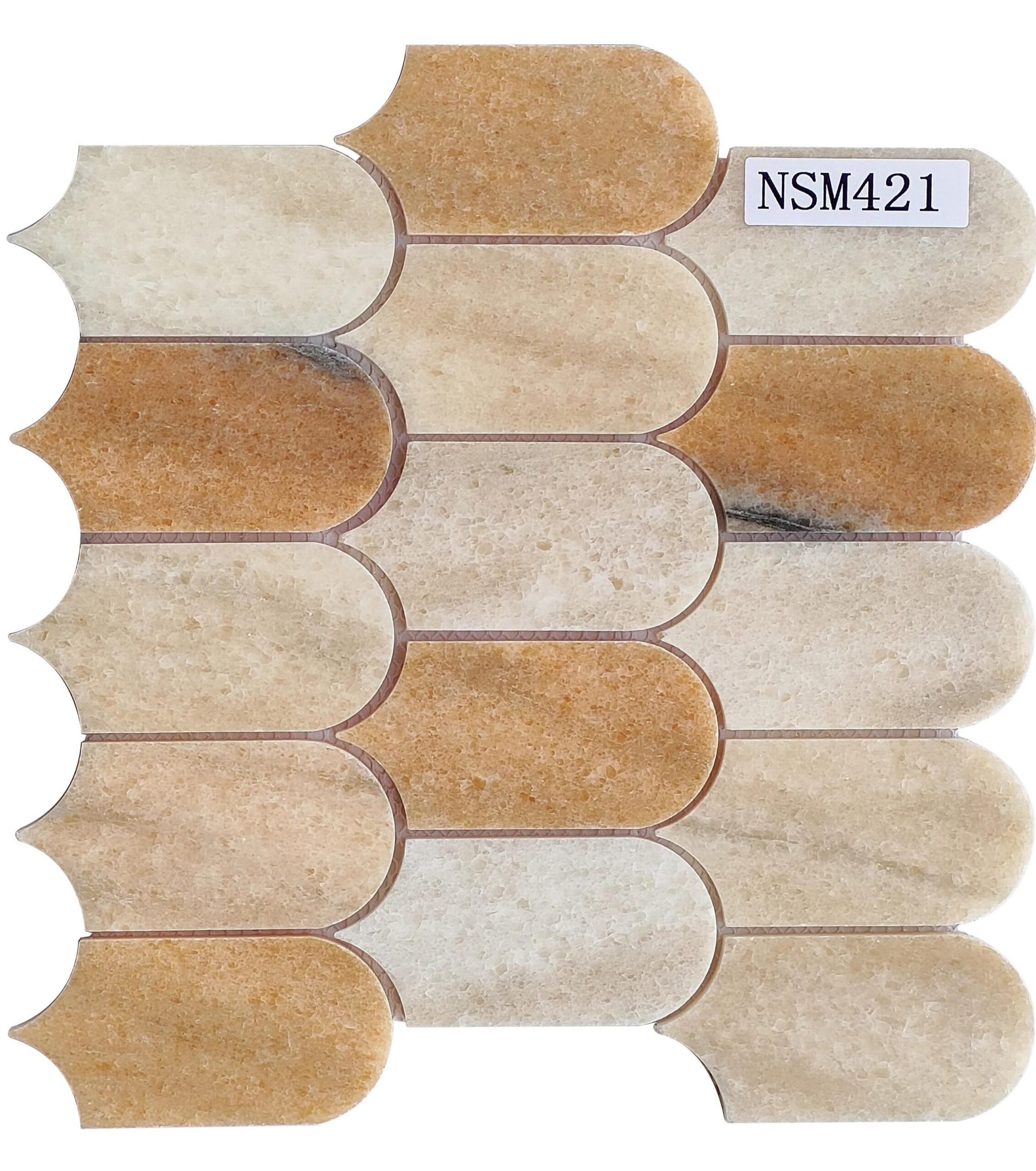 DS-NSM-421 1 DS-NSM-421