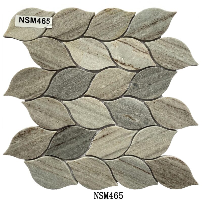 DS-NSM-465