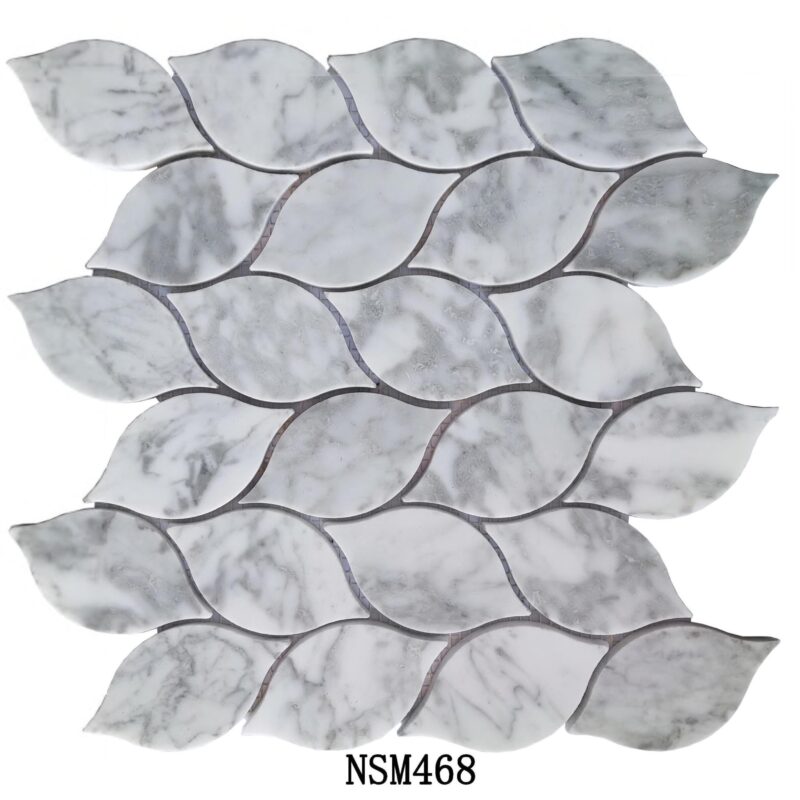 DS-NSM-468