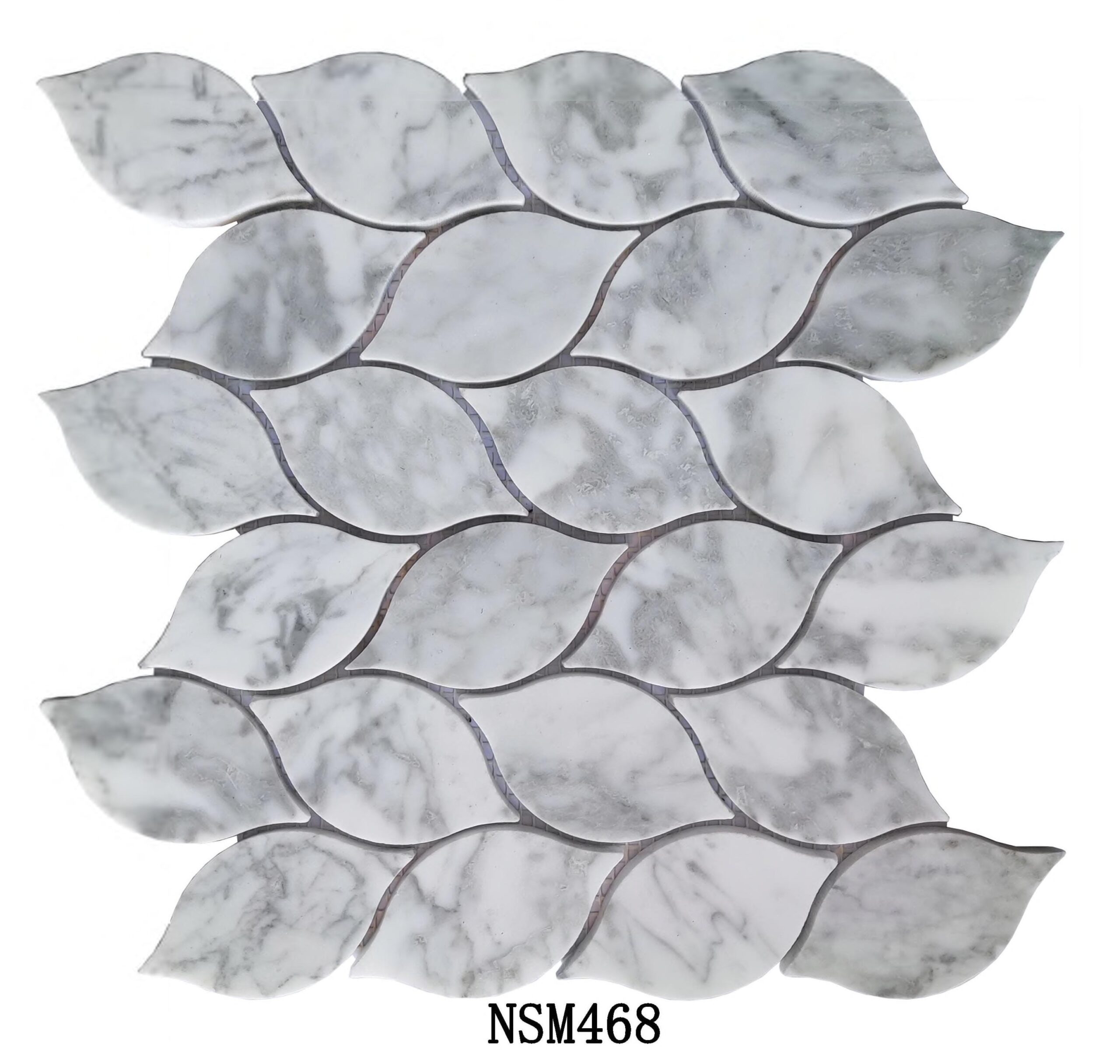 DS-NSM-468 1 DS-NSM-468