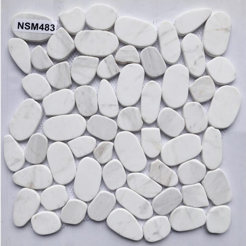 DS-NSM-483