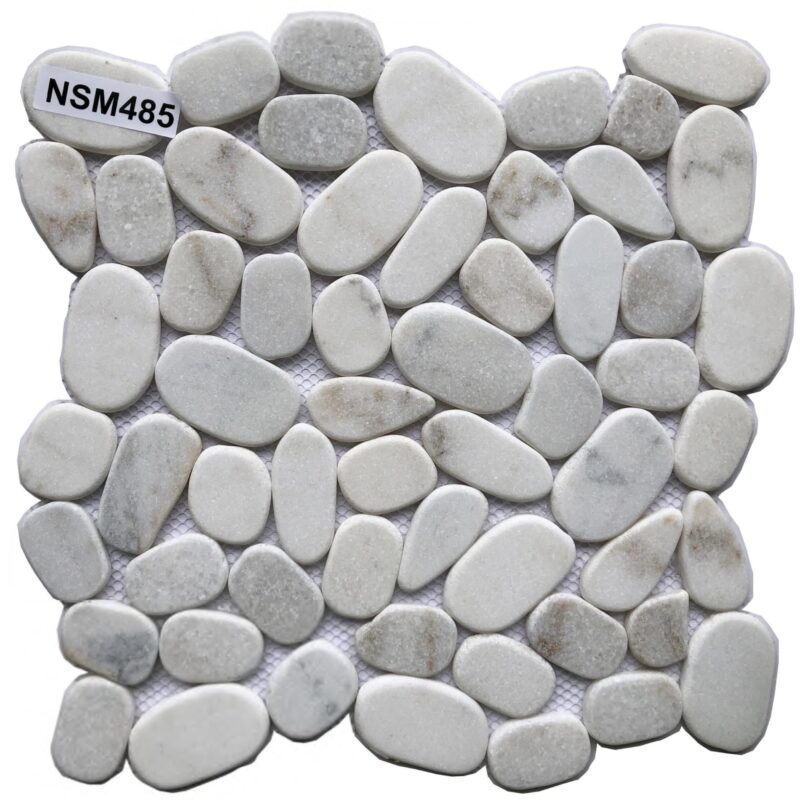 DS-NSM-485