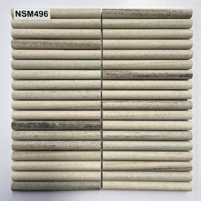 DS-NSM-496