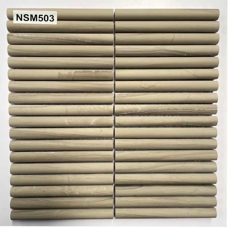 DS-NSM-503