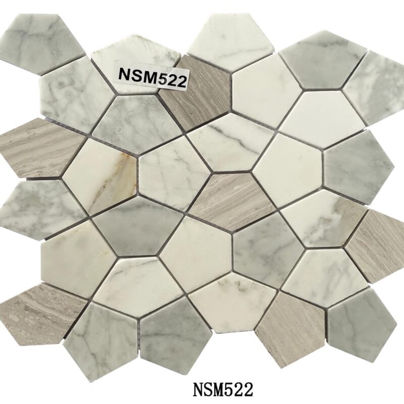 DS-NSM-522