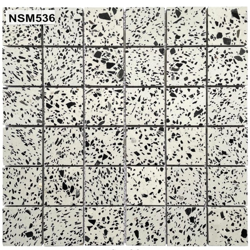 DS-NSM-536