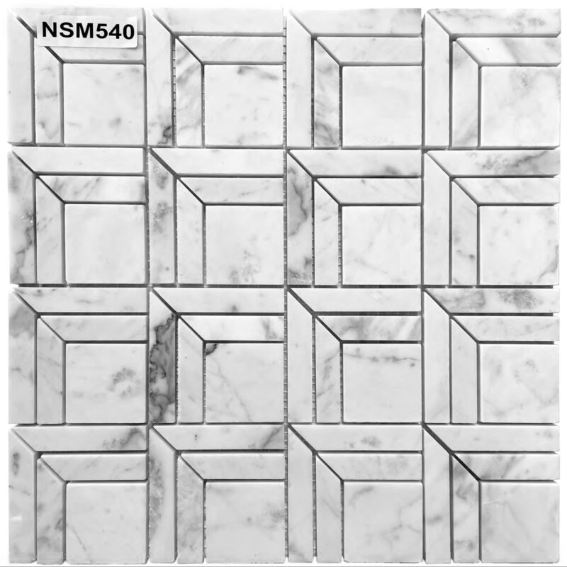DS-NSM-540